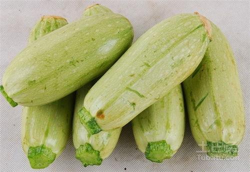 吃瓜百科今日首页