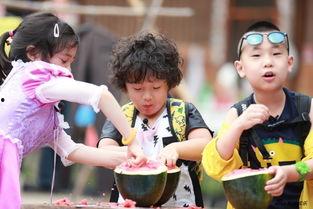 在娱乐综艺吃瓜,揭秘娱乐圈幕后故事