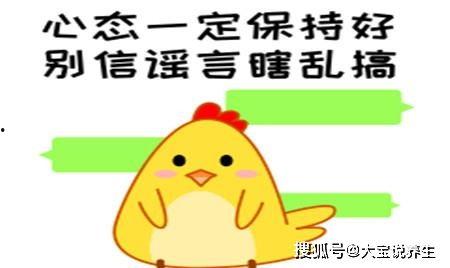 娱乐吃瓜酱笑话段子大全